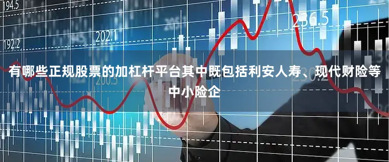 有哪些正规股票的加杠杆平台其中既包括利安人寿、现代财险等中小险企